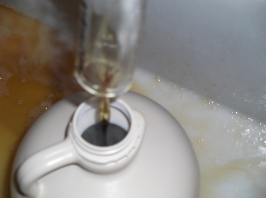 Roxbury Mountain Maple by null