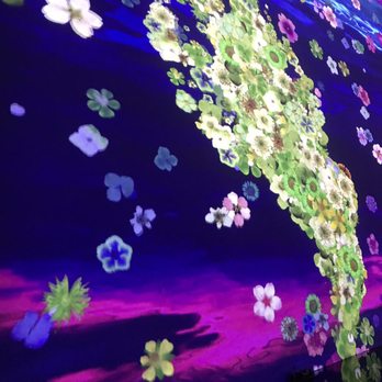 ARTECHOUSE DC - Main room - peak in bloom theme - Art Galleries Near Me - Washington, DC, District of Columbia