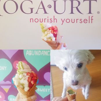 Yoga-urt - Strawberry & Greens swirl (Bagel - approved XD She's the reason I went vegan) - Ice Cream & Frozen Yogurt Near Me - Glendale, California