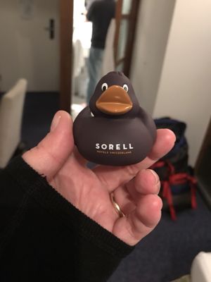 Sorell Hotel Rüden by null
