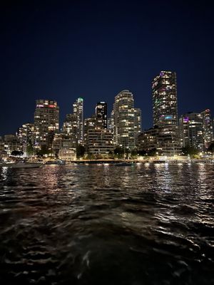 Prince of Whales - Whale & Marine Wildlife Adventures Vancouver by null