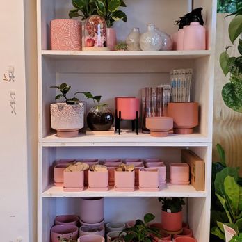 Mari’s Urban Garden - Nurseries & Gardening Near Me - Honolulu, Hawaii