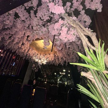 Ten Sushi - Sushi Bars Near Me - Dallas, Texas Ten Sushi - Sushi Bars Near Me - Dallas, Texas