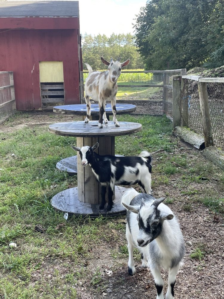 Ingaldsby Farms Image