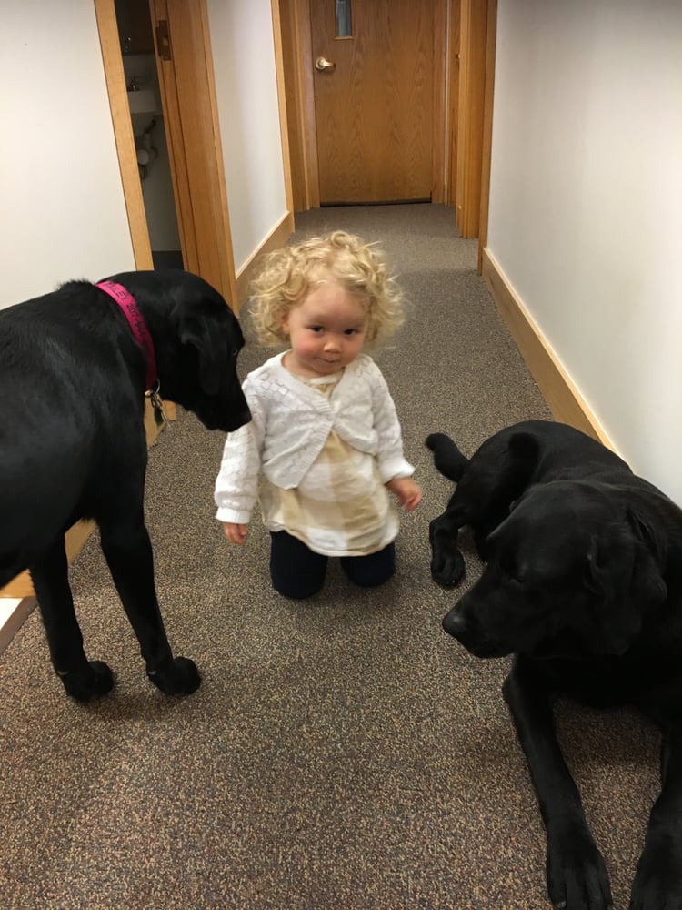 Osteopathic Center for Family Medicine - child therapist in Hampden, ME