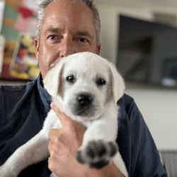 Your Dog Wins