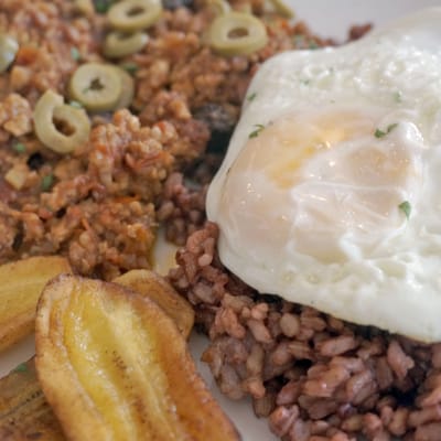 Corner Tree Cafe by null