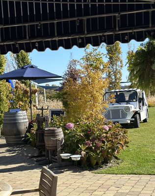 Peconic Bay Vineyards by Krissie Wines by null