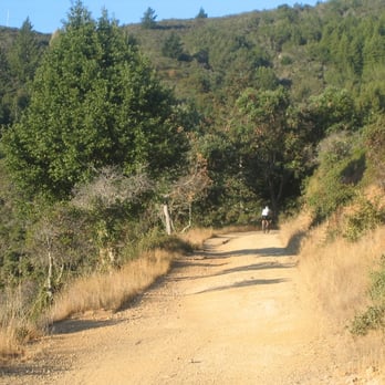 Hoo Koo E Koo Loop - Parks Near Me - Mill Valley, California