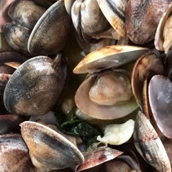 Mar d'Areia - Clams