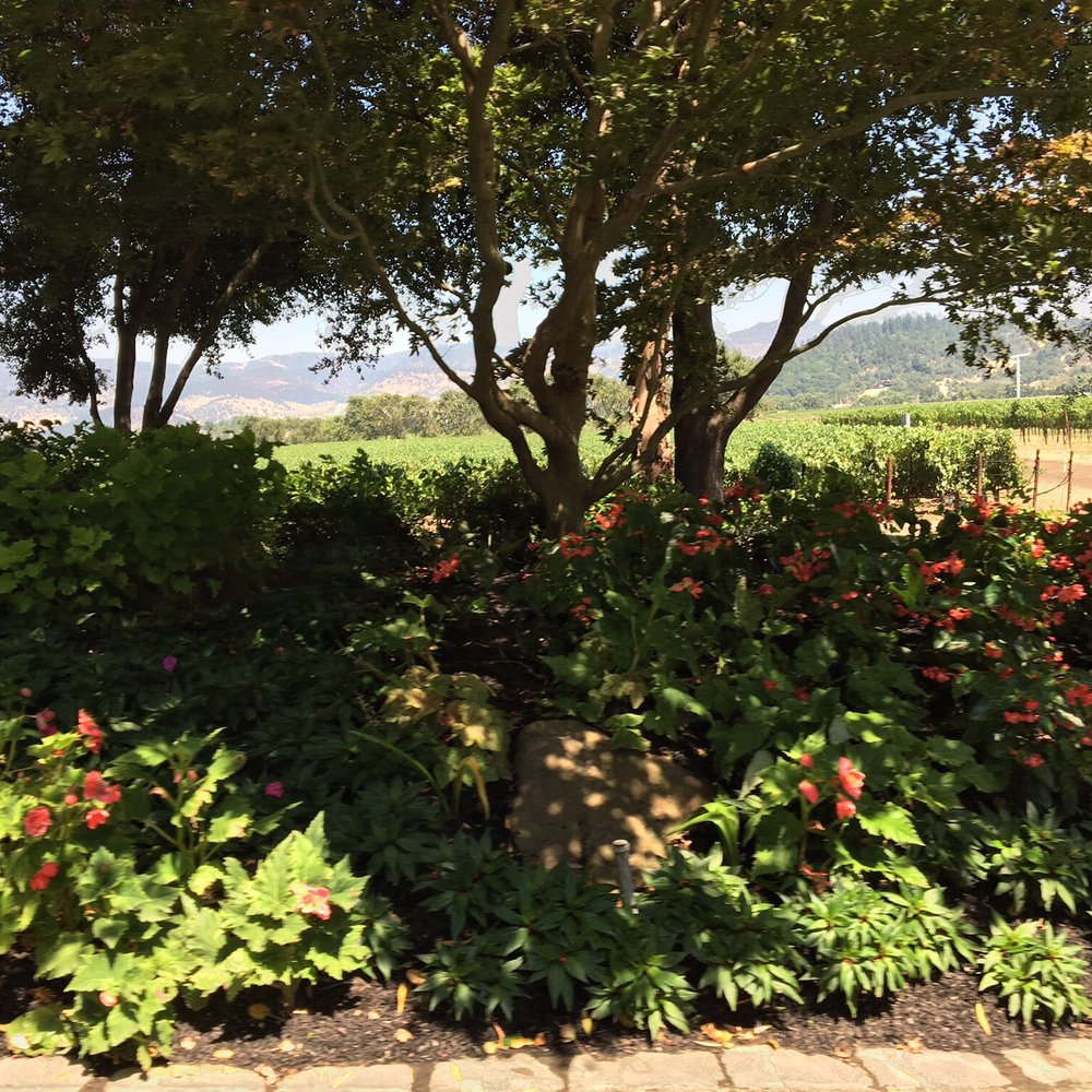 Caymus Vineyards - Wineries Near Me - Rutherford, California