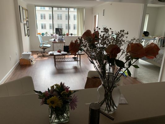 The Potomac Cleaning