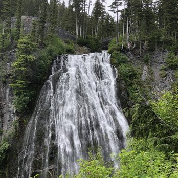 Evergreen Escapes - Narada Falls - Tours Near Me - Seattle, Washington Evergreen Escapes - Narada Falls - Tours Near Me - Seattle, Washington