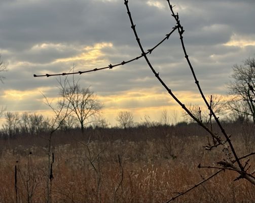 Liberty State Park by null