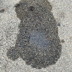 Tri-State Preowned - Their rear main seal job! Never leaked prior to being in their possession! Take a look at the mechanic before doing any business here!