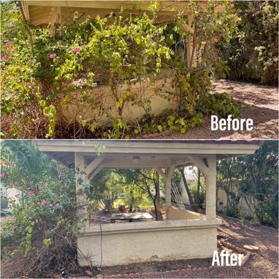 🌳 Full Tree Removal — Start to Finish - We don't just cut it down — we handle everything. 🪓 From the tallest oak to the deepest stump, we remove it all and leave your property cleaner than we found it. Residential and commercial jobs welcome. Big trees. No problem. One call handles it all. 💪 🌳 Full Tree Removal — Start to Finish - We don't just cut it down — we handle everything. 🪓 From the tallest oak to the deepest stump, we remove it all and leave your property cleaner than we found it. Residential and commercial jobs welcome. Big trees. No problem. One call handles it all. 💪