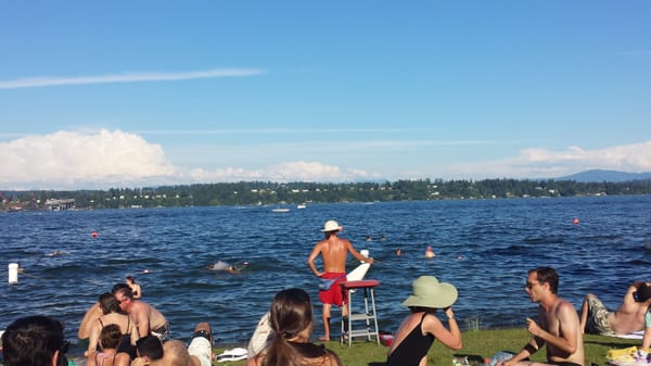 Madison Park by null