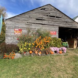 Yates Family Orchard