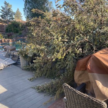 Martinez Landscaping - Tree fallen on Deck - Landscaping Near Me Martinez Landscaping - Tree fallen on Deck - Landscaping Near Me