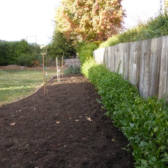 DK Landscaping - After - Landscaping Near Me - Rohnert Park, California