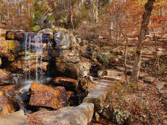 Garvan Woodland Gardens by null