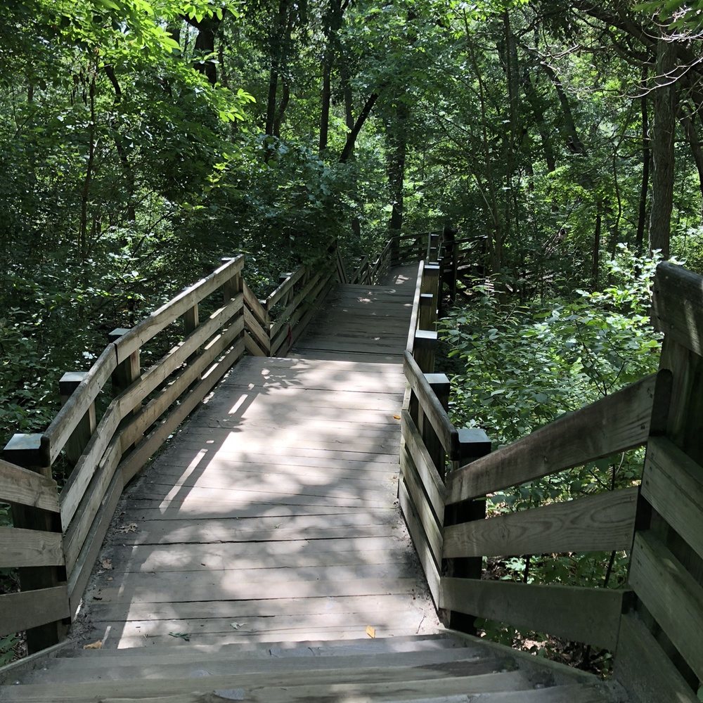 Starved Rock State Park - Many stairs, but with perseverance, you can make it back - Parks Near Me - Utica, Illinois