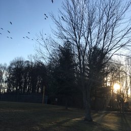 Winter day in Nottoway Park