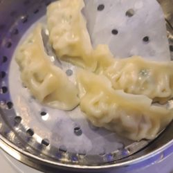 Highland Star - Steamed dumplings