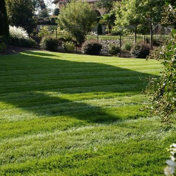 Encore Maintenance - a freshly mowed lawn in a residential area - Landscaping Near Me - Huntersville, North Carolina Encore Maintenance - a freshly mowed lawn in a residential area - Landscaping Near Me - Huntersville, North Carolina