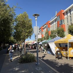 San Marcos Farmers Market