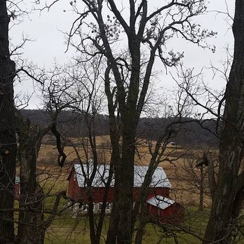 Expert Tree - Tree Services Near Me - Hammond, Wisconsin Expert Tree - Tree Services Near Me - Hammond, Wisconsin