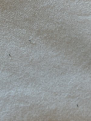 Der Ritterhof Inn by null