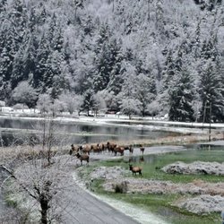 Chinook Bend RV Resort
