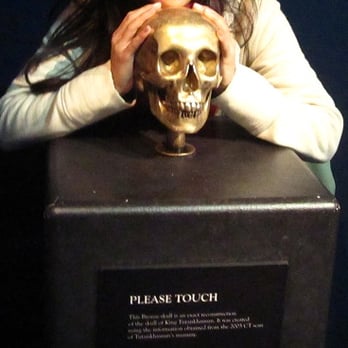 Melbourne Museum - Museums Near Me - Melbourne, VIC Melbourne Museum - Museums Near Me - Melbourne, VIC