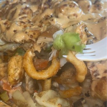Kabob House - Chicken Chicken Tikka Street Fries - Pakistani Near Me - Midvale, Utah