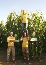 Great Vermont Corn Maze by null