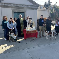 Saint Sophia Greek Orthodox Cathedral - Blessing of the animals.