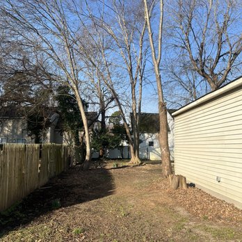Great Scott Tree Service - Before - Tree Services Near Me - Norfolk, Virginia Great Scott Tree Service - Before - Tree Services Near Me - Norfolk, Virginia