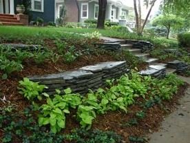 West Fork Landscape and Tree Care - tree service in Lincoln, NE