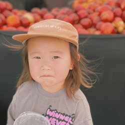 Farmers Market - Plenty of fruit stands