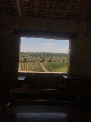 Fattoria la Loggia by null