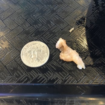Ahipoki - Quarter for scaling - Seafood Near Me - Temple City, California