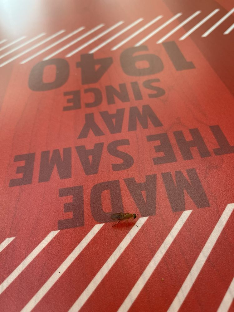 KFC Logo