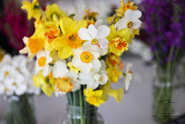 Baker Creek Heirloom Seed Company by null