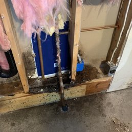 Before Frankenstein attacked pipes! Before Frankenstein attacked pipes!