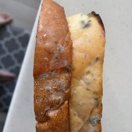 Moldy Garlic Bread Moldy Garlic Bread