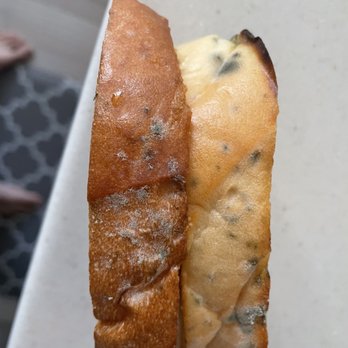 Luigi's Pizza & Pasta - Moldy Garlic Bread - Pizza Near Me - Plainfield, Illinois Luigi's Pizza & Pasta - Moldy Garlic Bread - Pizza Near Me - Plainfield, Illinois