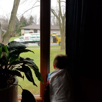 Soppa's Tree Service - Tree Services Near Me - Rockford, Illinois