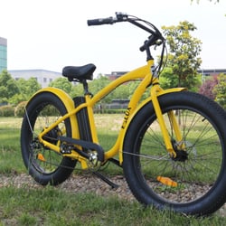 E-Lux Electric Bikes