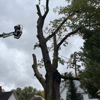 Orr Outdoor Services - Tree Services Near Me - Waupaca, Wisconsin Orr Outdoor Services - Tree Services Near Me - Waupaca, Wisconsin